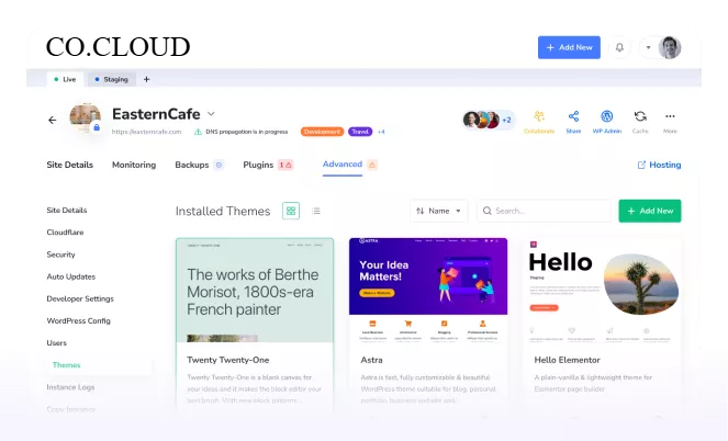 Temas premium y herramientas de copias de seguridad